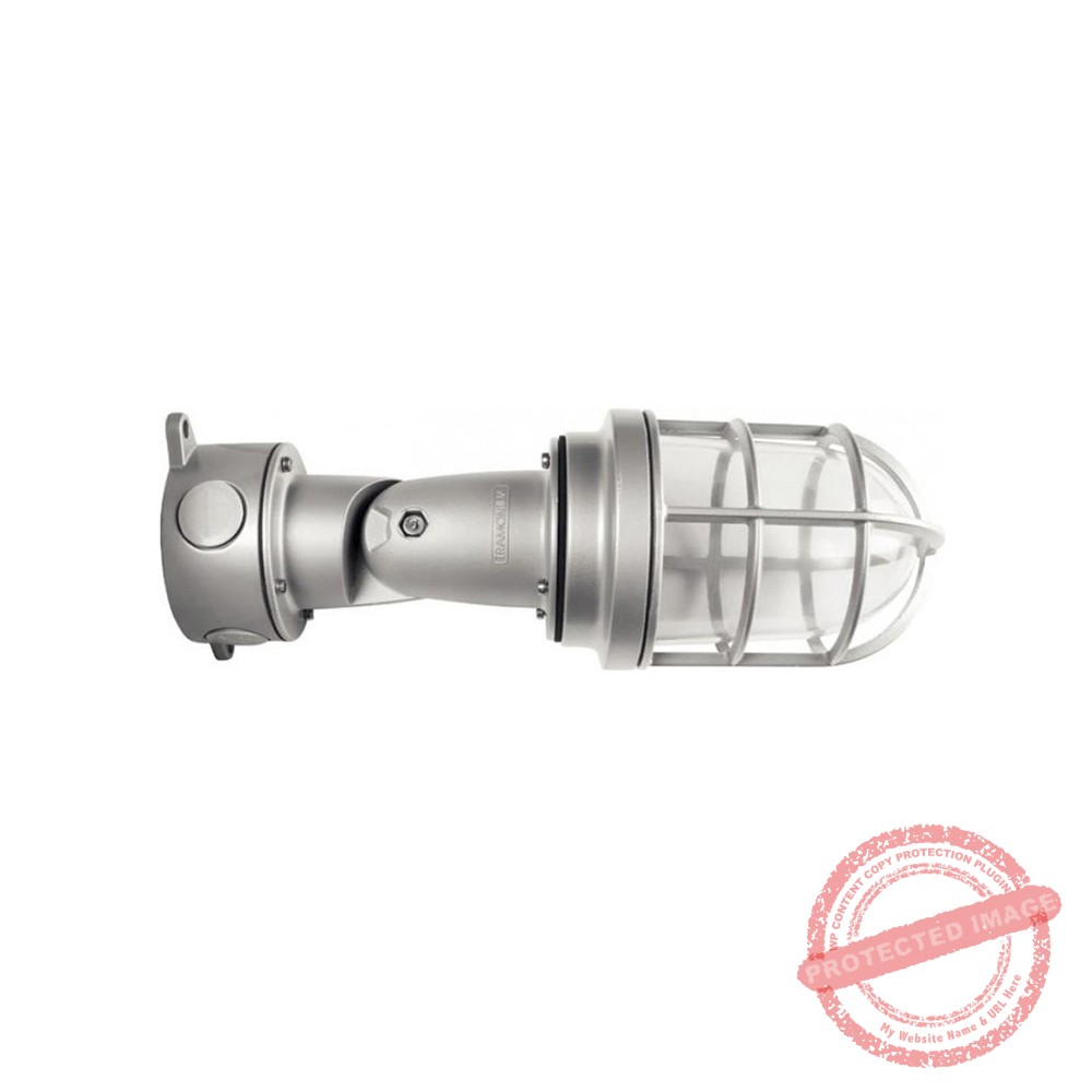 Fanal articulable claro blindado 100W E27 con rejilla para pared