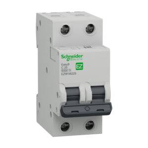 Interruptor termomagnético 2x25A 10kA/6kA 240/480VAC