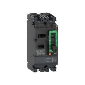Interruptor termomagnético fijo 2x40A 36/18/15kA 220/380/440V NSX100F