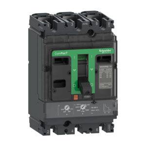 Interruptor termomagnético regulable 3x175-250A 70/36kA 220/440V NSX250F