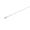 Tubo LED 8W/865 T8 EQ.18W HO 600mm