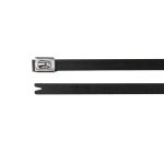 Cinta de acero inoxidable Epoxi 4.6mm L=201mm SS316 x100und