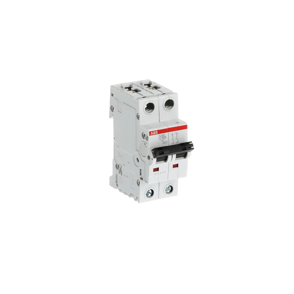 interruptor-termomagnetico-2x100a-10-6ka-230-400v-tipo-c-din.jpg Interruptor termomagnético 2x100A 10/6kA 230/400V tipo C DIN - Imagen 1
