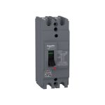 Interruptor termomagnético 2X30A 50/20kA 240/440VAC easypact EZC